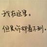 化纤什么面料